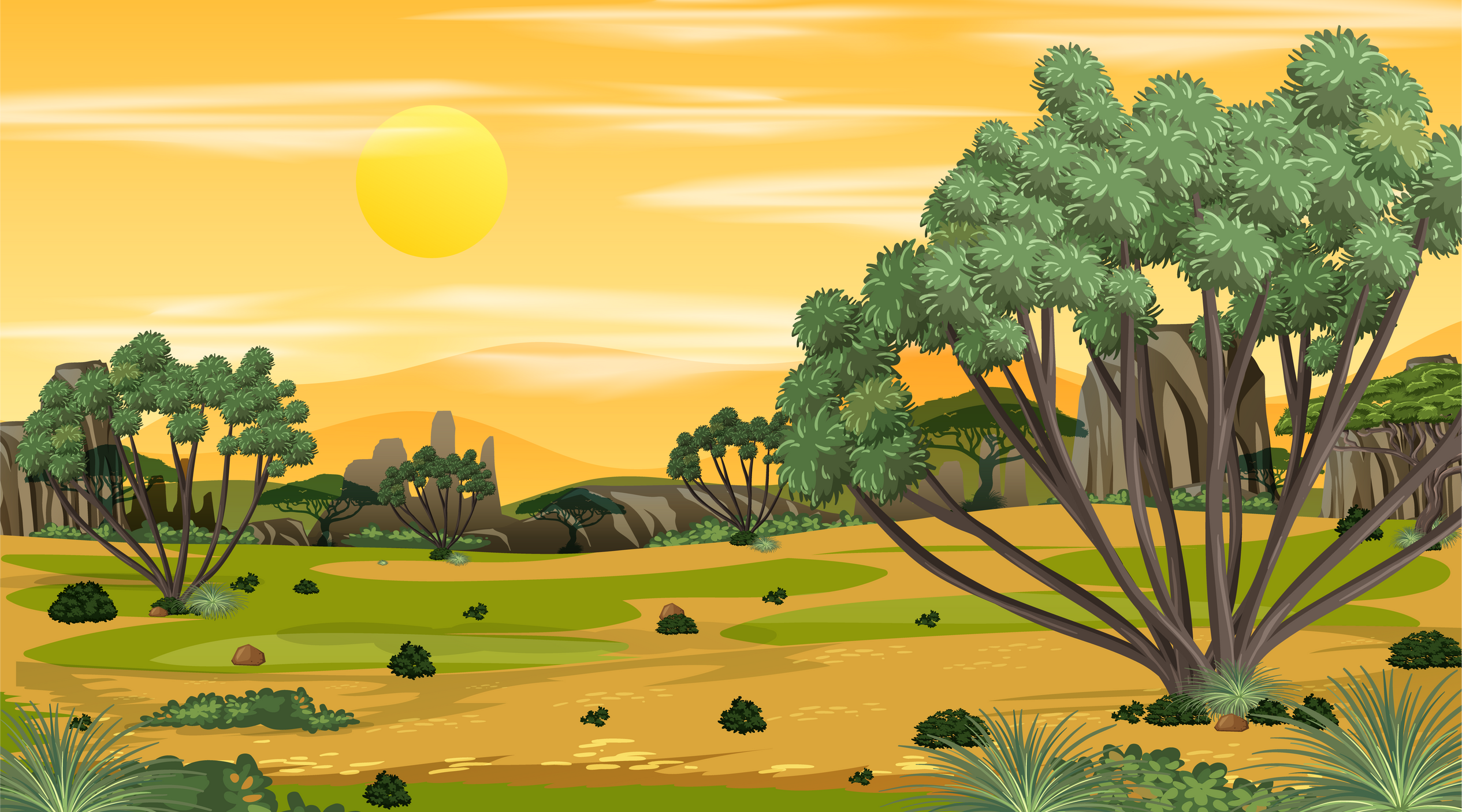 African Savanna forest landscape scene at sunset