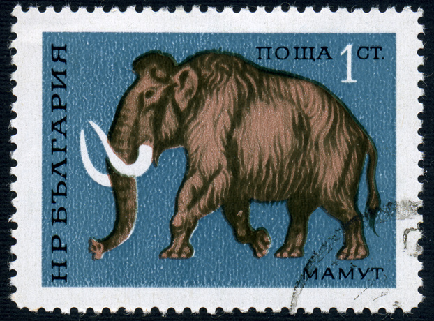 Mammoth