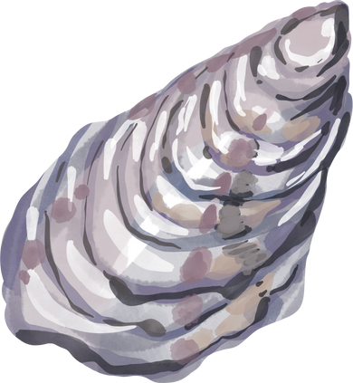 Hand Drawn Oyster Watercolor Illustration
