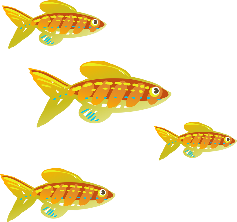 School of Fish Illustration